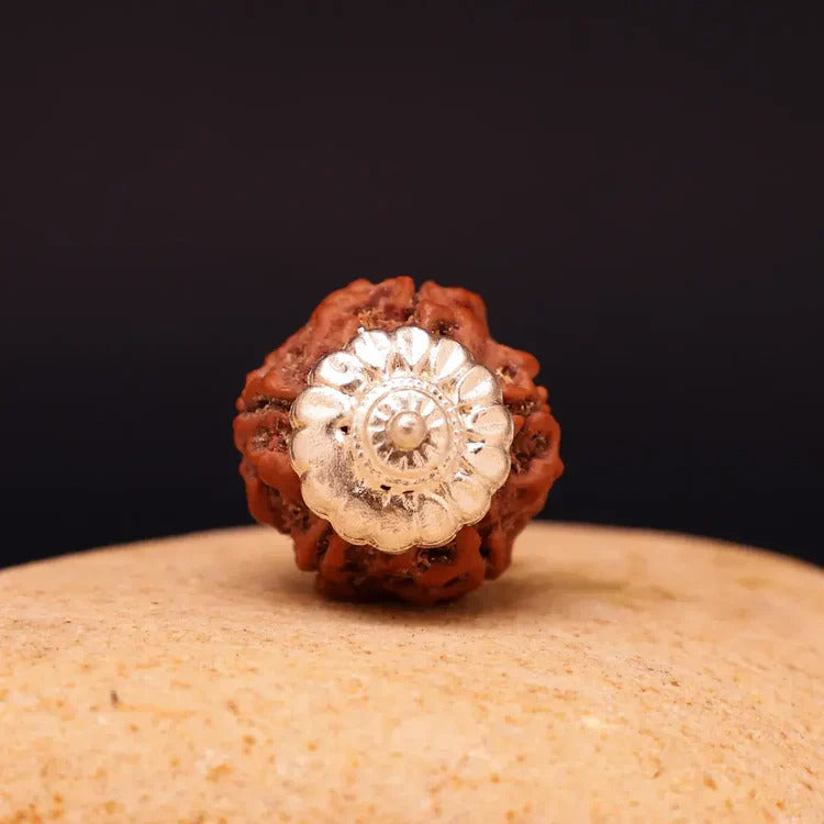 6 Mukhi Nepali Rudraksha With Lab Tested Certificate