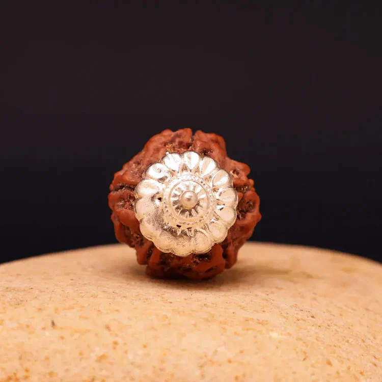 6 Mukhi Nepali Rudraksha With Lab Tested Certificate  Sale price